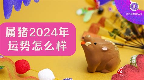 2024年属猪运势|2024年属猪人的全年运势 属猪2024年每月运程宋韶光